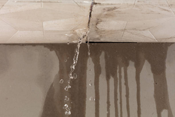 Professional Burst Pipe Cleanup technician working in Pilot Grove, MO